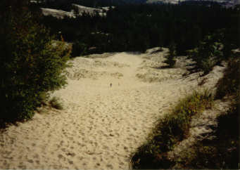 cabin rentals vacation rentals ludington michigan